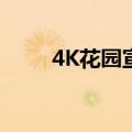 4K花园宣布开拓线下娱乐商用场景