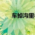 车掉沟里村民上演现实版拔萝卜拖车