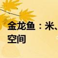 金龙鱼：米、面及相关下游产品领域仍有发展空间