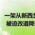 一架从新西兰飞澳大利亚客机起飞后疑似起火 被迫改道降落