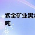 紫金矿业黑龙江铜山铜矿新增铜资源量365万吨