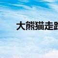 大熊猫走路“内八字”是怎么回事儿？