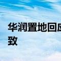 华润置地回应项目公司被法拍：为项目纾困所致