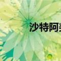 沙特阿美完成60亿美元债券发行