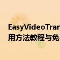 EasyVideoTrans完全指南：英文视频转中文翻译工具 - 使用方法教程与免费试用入口