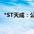 *ST天成：公司股票已触及交易类退市指标