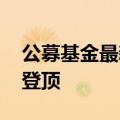 公募基金最新前十大重仓股出炉，“宁王” 登顶