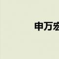 申万宏源迎来新首席经济学家