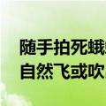 随手拍死蛾蚋 男子被迫摘除眼球：应让虫子自然飞或吹出