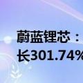 蔚蓝锂芯：上半年净利润1.67亿元，同比增长301.74%