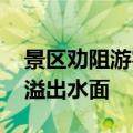 景区劝阻游客投喂锦鲤：鱼要撑死了 胖得要溢出水面