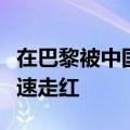 在巴黎被中国的厕所侠救了：巴黎如厕攻略迅速走红