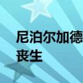 尼泊尔加德满都机场飞机坠毁事故已致22人丧生