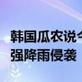 韩国瓜农说今年的西瓜白种了：韩国多地遭受强降雨侵袭