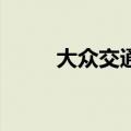 大众交通再度涨停，走出12天7板