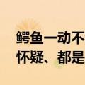 鳄鱼一动不动引质疑 南宁动物园回应：不用怀疑、都是活的