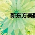 新东方美股盘前小幅跳水，跌幅达3%