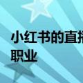 小红书的直播新故事：不止买手，还有更多新职业