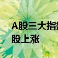 A股三大指数集体收涨，全市场超4400只个股上涨