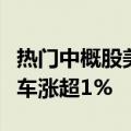 热门中概股美股盘前涨跌不一，蔚来、小鹏汽车涨超1%