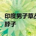 印度男子草丛如厕时遭蟒蛇袭击：直接被缠住脖子