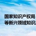 国家知识产权局：鼓励产业界更多参与数字经济、人工智能等新兴领域知识产权国际治理