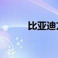 比亚迪方程豹豹5价格下调5万元