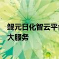 鲲元日化智云平台发布，将提供新品智造、营销代运营等五大服务