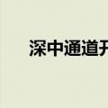 深中通道开通首月车流量破300万车次