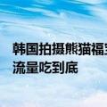 韩国拍摄熊猫福宝电影《再见爷爷》定档9月4日 网友吐槽：流量吃到底