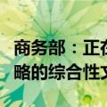 商务部：正在研究制定实施自贸试验区提升战略的综合性文件