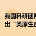 我国科研团队研制出可降解材料助难愈伤口长出“类原生皮”