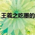 王羲之吃墨的故事20字（王羲之吃墨的故事）