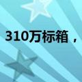 310万标箱，西部陆海新通道交出5年成绩单