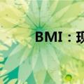 BMI：现在断言进入熊市为时尚早