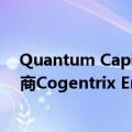 Quantum Capital出价30亿美元从凯雷手中收购电力生产商Cogentrix Energy