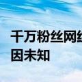 千万粉丝网红倪海杉多平台账号突然被封：原因未知