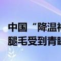 中国“降温神器”在欧洲火了：冰丝凉席不夹腿毛受到青睐