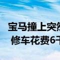 宝马撞上突然窜出的小狗：行人保护装置弹出 修车花费6千元