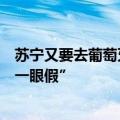 苏宁又要去葡萄牙买球队了？相关人士坚决否认：“这消息一眼假”