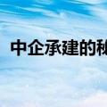 中企承建的秘鲁钱凯隧道提前实现顺利贯通