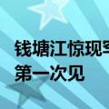 钱塘江惊现罕见“龙眼潮” 拍摄者：拍了5年第一次见