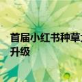 首届小红书种草大赏获奖案例诞生，种草产品解决方案宣布升级