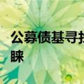 公募债基寻找超额“利器”，二永债持续受青睐