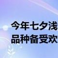 今年七夕浅色玫瑰花爆火 粉红雪山和白雪山品种备受欢迎