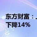 东方财富：上半年实现营收49.45亿元，同比下降14%