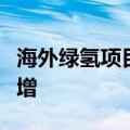 海外绿氢项目加速落地，国内制氢设备订单大增