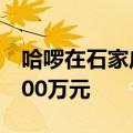 哈啰在石家庄成立网络科技公司，注册资本100万元