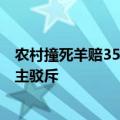 农村撞死羊赔3500不让带走 有人建议应该第一时间跑路 博主驳斥