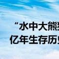 “水中大熊猫”桃花水母现身太原：已有近6亿年生存历史